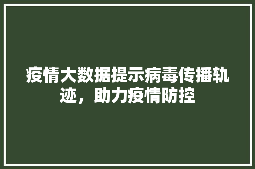 疫情大数据提示病毒传播轨迹，助力疫情防控  第1张