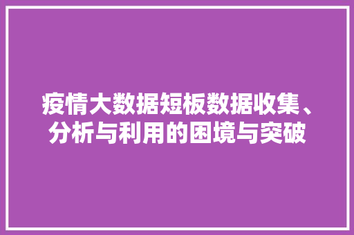 疫情大数据短板数据收集、分析与利用的困境与突破  第1张