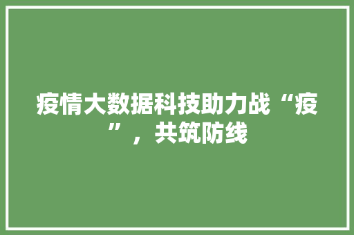 疫情大数据科技助力战“疫”，共筑防线