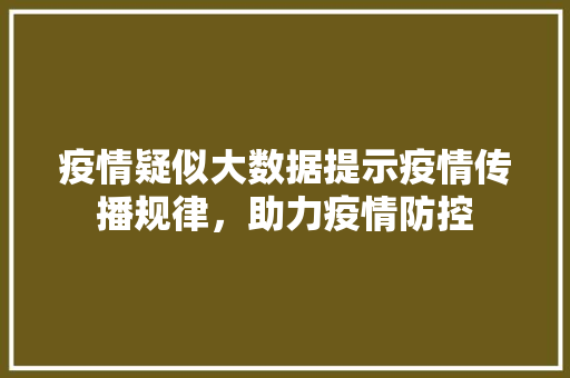 疫情疑似大数据提示疫情传播规律，助力疫情防控  第1张