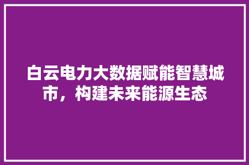 白云电力大数据赋能智慧城市，构建未来能源生态