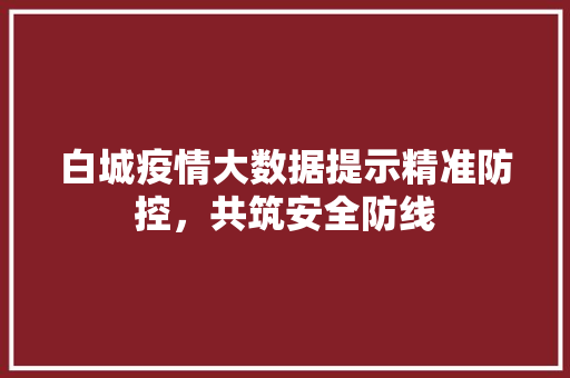 白城疫情大数据提示精准防控，共筑安全防线  第1张