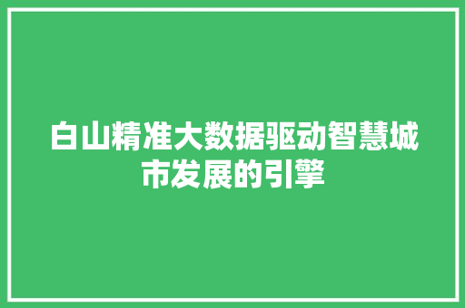 白山精准大数据驱动智慧城市发展的引擎  第1张