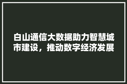 白山通信大数据助力智慧城市建设，推动数字经济发展  第1张