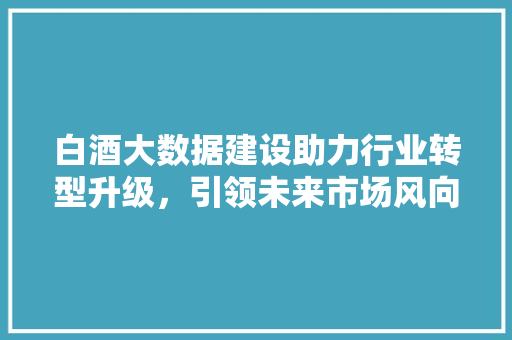 白酒大数据建设助力行业转型升级，引领未来市场风向标  第1张