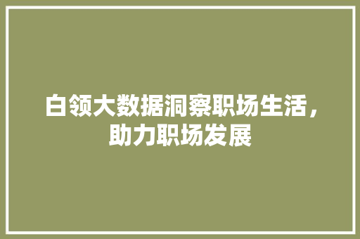 白领大数据洞察职场生活，助力职场发展