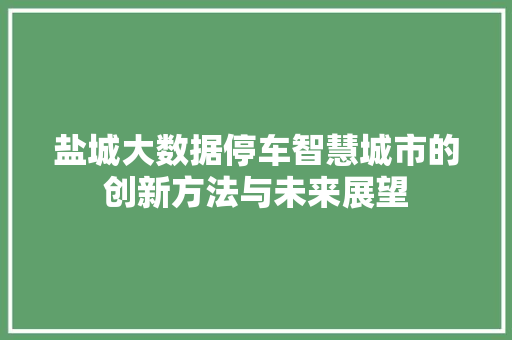 盐城大数据停车智慧城市的创新方法与未来展望