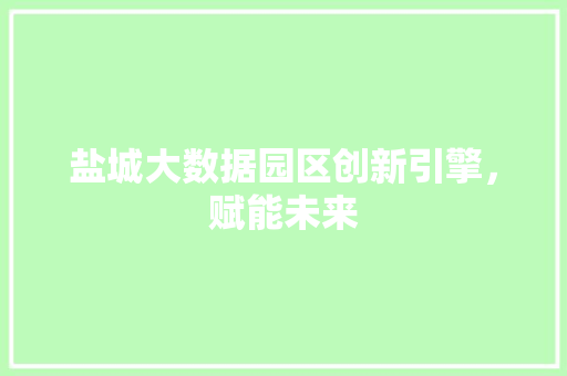 盐城大数据园区创新引擎，赋能未来  第1张
