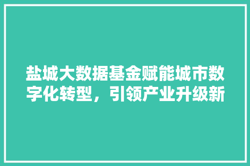 盐城大数据基金赋能城市数字化转型，引领产业升级新篇章  第1张