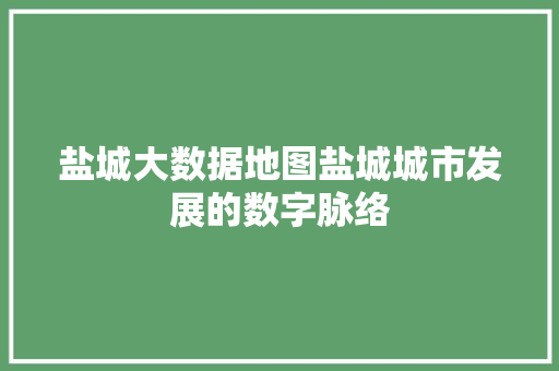 盐城大数据地图盐城城市发展的数字脉络  第1张
