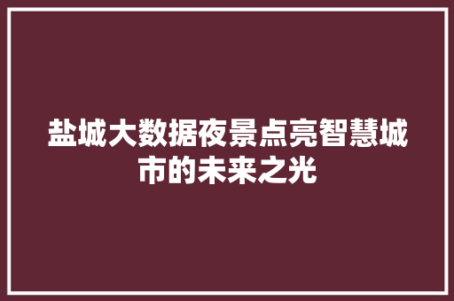 盐城大数据夜景点亮智慧城市的未来之光