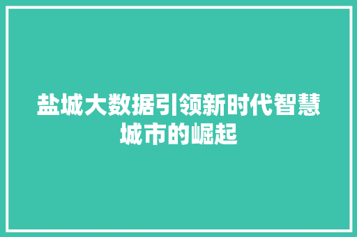 盐城大数据引领新时代智慧城市的崛起  第1张