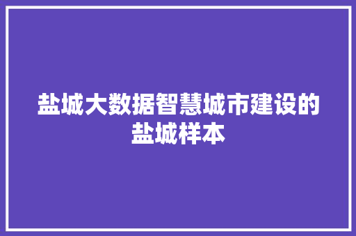 盐城大数据智慧城市建设的盐城样本  第1张