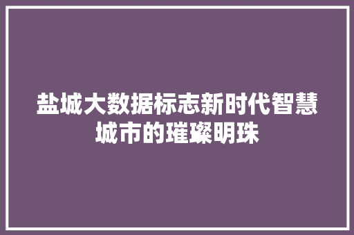 盐城大数据标志新时代智慧城市的璀璨明珠  第1张