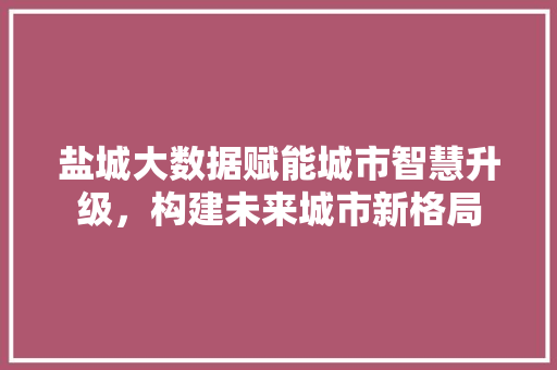 盐城大数据赋能城市智慧升级，构建未来城市新格局  第1张