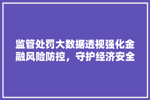 监管处罚大数据透视强化金融风险防控，守护经济安全防线  第1张