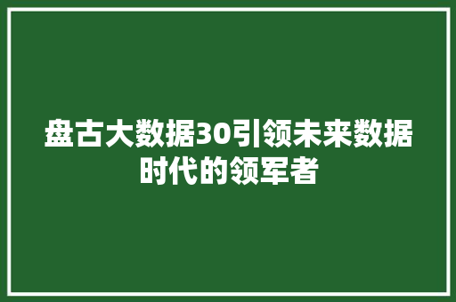 盘古大数据30引领未来数据时代的领军者  第1张