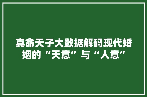真命天子大数据解码现代婚姻的“天意”与“人意”