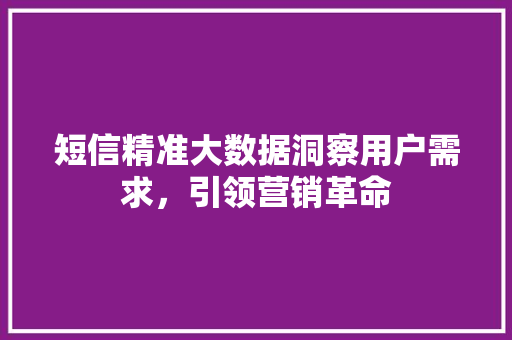 短信精准大数据洞察用户需求，引领营销革命  第1张