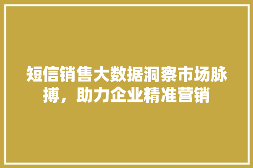 短信销售大数据洞察市场脉搏，助力企业精准营销  第1张