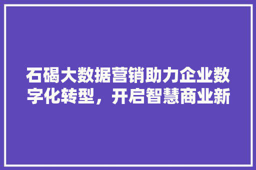 石碣大数据营销助力企业数字化转型，开启智慧商业新篇章  第1张