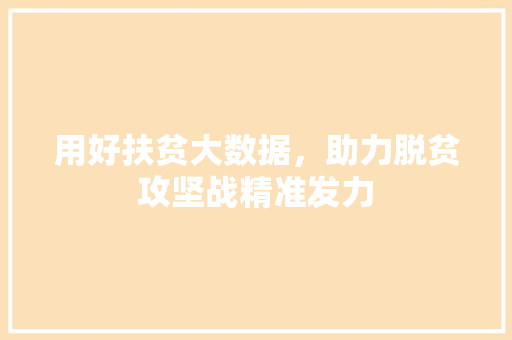 用好扶贫大数据，助力脱贫攻坚战精准发力  第1张
