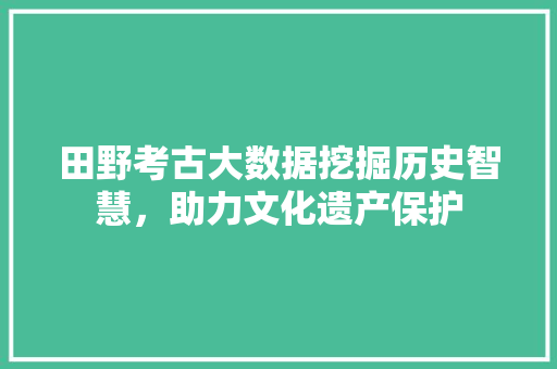 田野考古大数据挖掘历史智慧，助力文化遗产保护