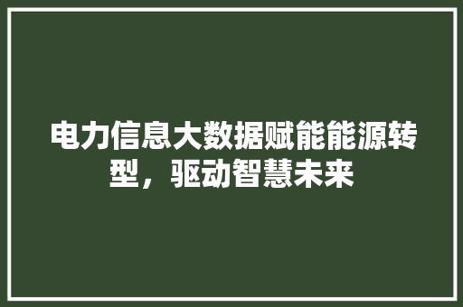 电力信息大数据赋能能源转型，驱动智慧未来  第1张