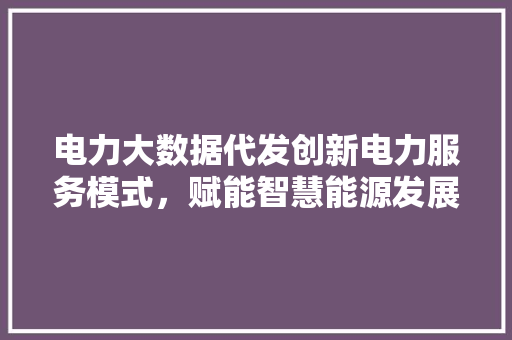 电力大数据代发创新电力服务模式，赋能智慧能源发展  第1张