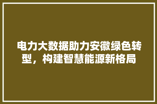 电力大数据助力安徽绿色转型，构建智慧能源新格局  第1张