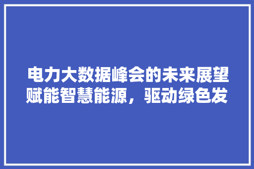 电力大数据峰会的未来展望赋能智慧能源，驱动绿色发展  第1张