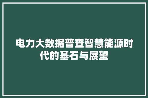 电力大数据普查智慧能源时代的基石与展望  第1张