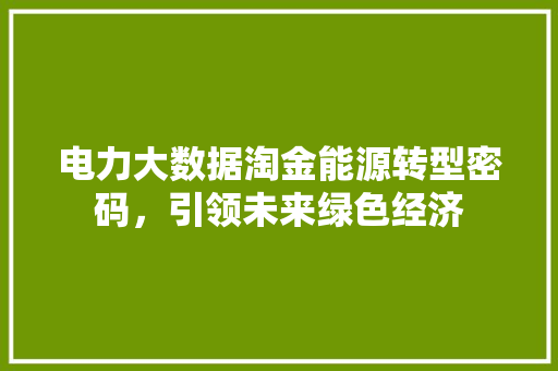 电力大数据淘金能源转型密码，引领未来绿色经济  第1张