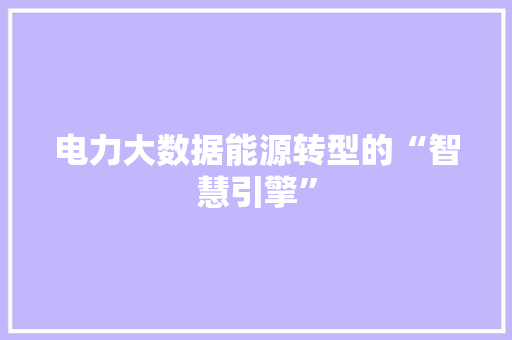 电力大数据能源转型的“智慧引擎”  第1张