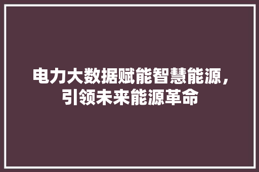 电力大数据赋能智慧能源，引领未来能源革命  第1张