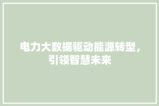 电力大数据驱动能源转型，引领智慧未来  第1张