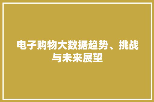 电子购物大数据趋势、挑战与未来展望  第1张