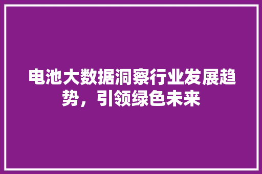 电池大数据洞察行业发展趋势，引领绿色未来  第1张