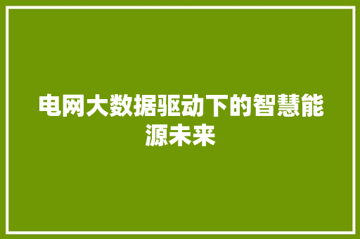 电网大数据驱动下的智慧能源未来