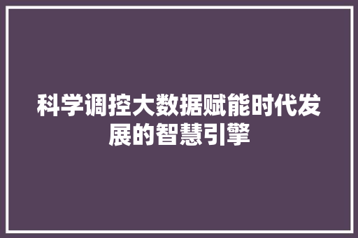 科学调控大数据赋能时代发展的智慧引擎