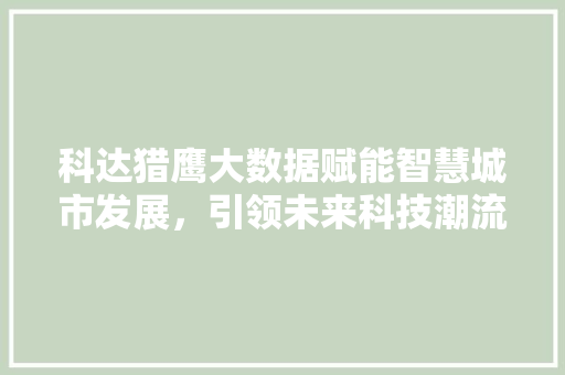 科达猎鹰大数据赋能智慧城市发展，引领未来科技潮流