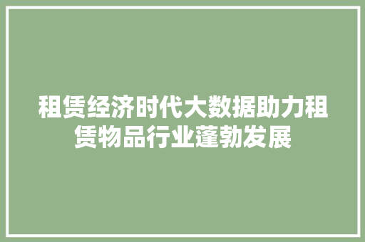 租赁经济时代大数据助力租赁物品行业蓬勃发展