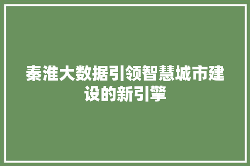 秦淮大数据引领智慧城市建设的新引擎