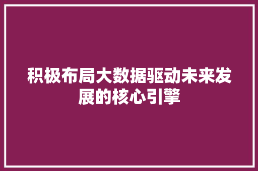 积极布局大数据驱动未来发展的核心引擎  第1张