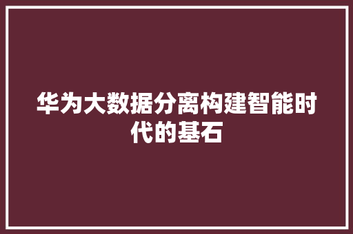 华为大数据分离构建智能时代的基石  第1张