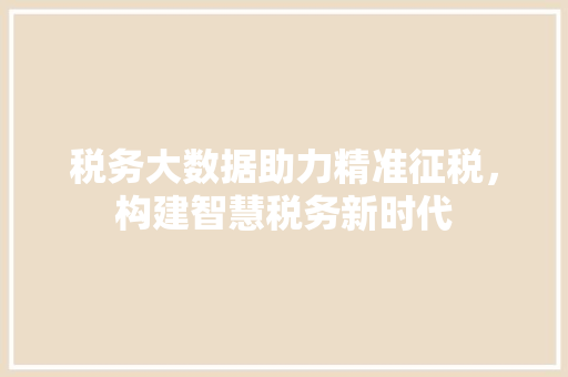 税务大数据助力精准征税，构建智慧税务新时代  第1张