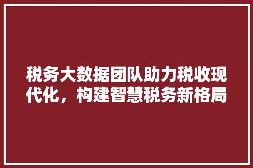 税务大数据团队助力税收现代化，构建智慧税务新格局  第1张