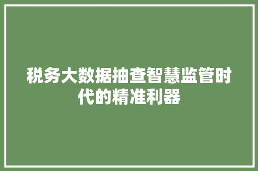 税务大数据抽查智慧监管时代的精准利器  第1张
