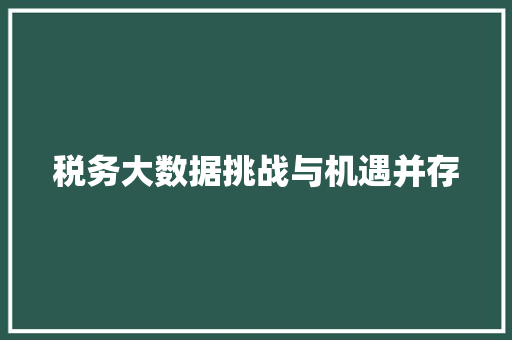 税务大数据挑战与机遇并存  第1张