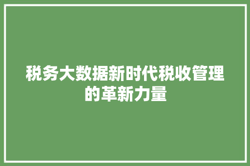 税务大数据新时代税收管理的革新力量  第1张